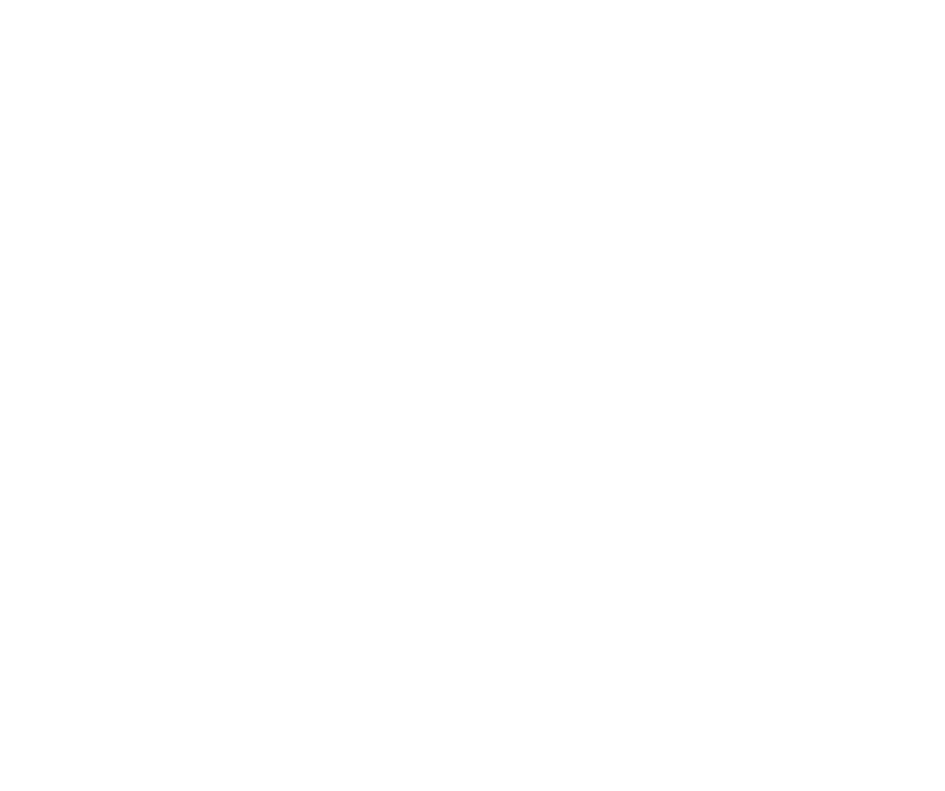 Leemak